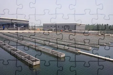 Toy jigsaw puzzle