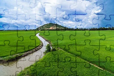 Toy jigsaw puzzle