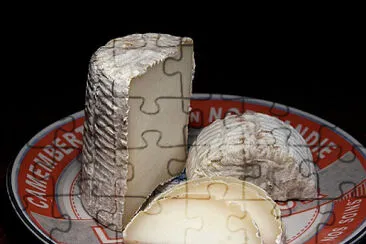 a jigsaw puzzle