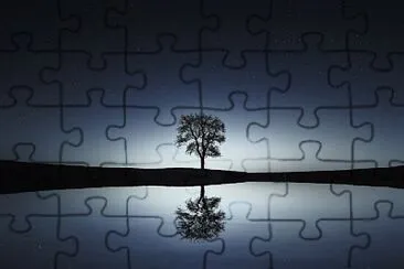 Toy jigsaw puzzle