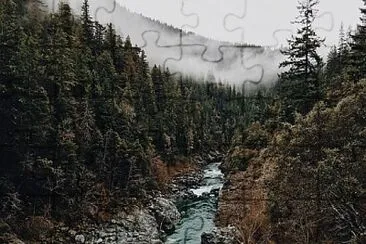 Toy jigsaw puzzle