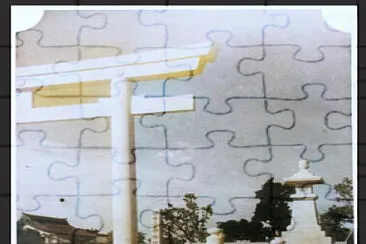  jigsaw puzzle