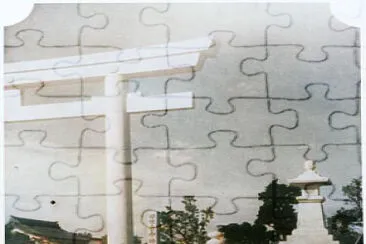  jigsaw puzzle