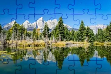 Nature jigsaw puzzle