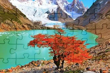  jigsaw puzzle
