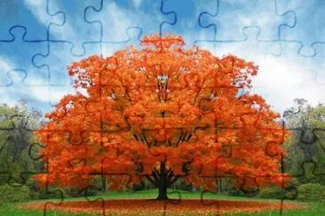 ImÃ¡genes jigsaw puzzle