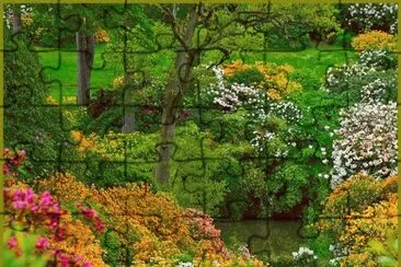ImÃ¡genes jigsaw puzzle