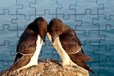 Anades jigsaw puzzle