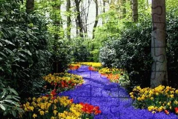 ImÃ¡genes jigsaw puzzle
