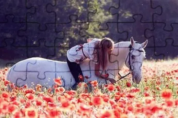 ImÃ¡genes jigsaw puzzle