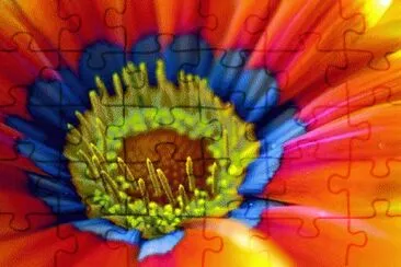 image jigsaw puzzle