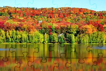  jigsaw puzzle