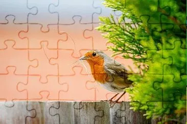  jigsaw puzzle
