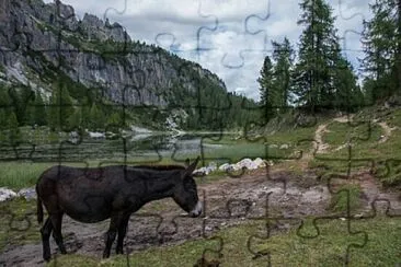  jigsaw puzzle