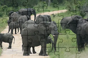  jigsaw puzzle
