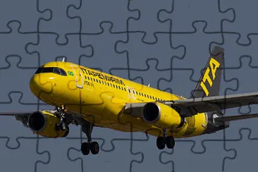  jigsaw puzzle