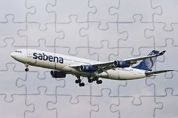  jigsaw puzzle