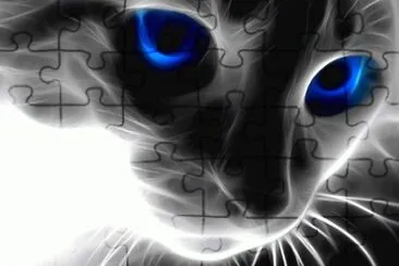 פאזל של Cat