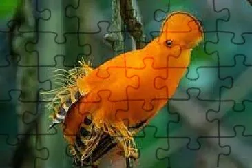 Toy jigsaw puzzle