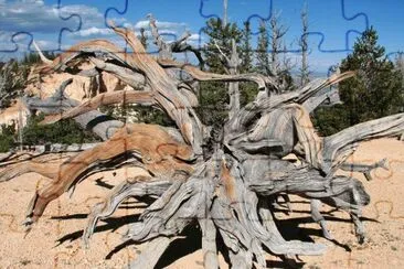 pic52 jigsaw puzzle