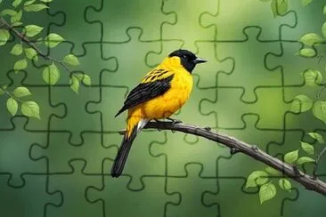 Toy jigsaw puzzle