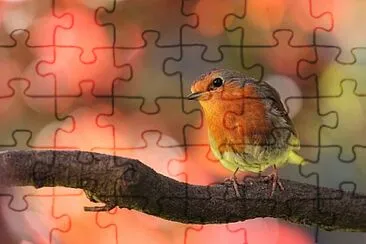 Toy jigsaw puzzle