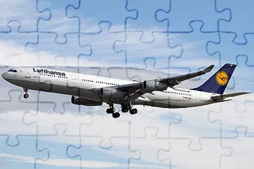  jigsaw puzzle