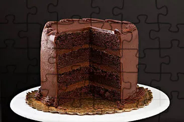 a jigsaw puzzle