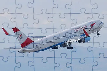  jigsaw puzzle
