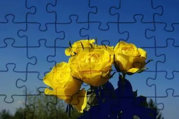 FLORES jigsaw puzzle