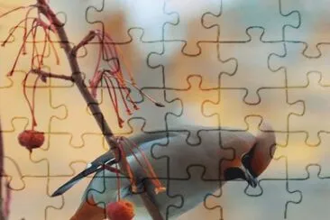 . jigsaw puzzle