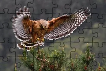 . jigsaw puzzle