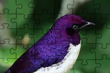 . jigsaw puzzle