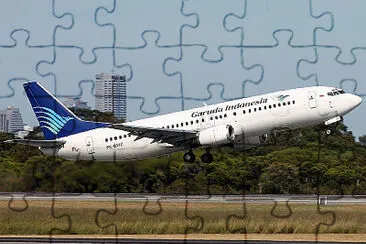  jigsaw puzzle