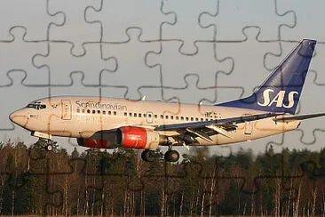 jigsaw puzzle