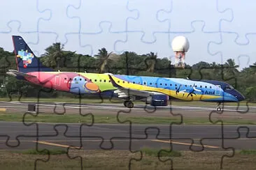  jigsaw puzzle