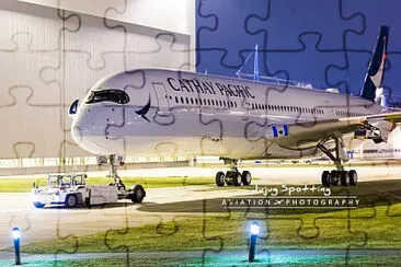 jigsaw puzzle