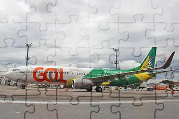  jigsaw puzzle