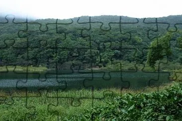 Nature jigsaw puzzle