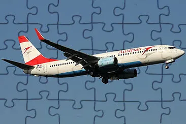  jigsaw puzzle