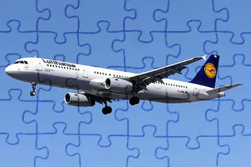  jigsaw puzzle