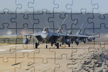  jigsaw puzzle
