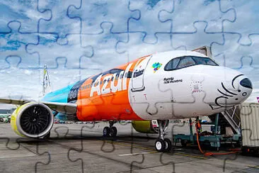  jigsaw puzzle