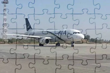  jigsaw puzzle
