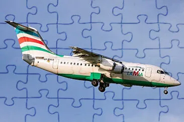  jigsaw puzzle