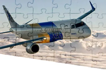  jigsaw puzzle