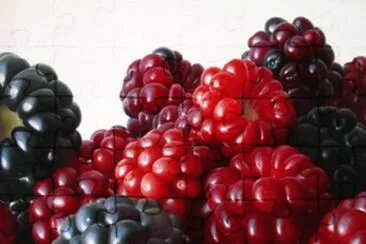 foto jigsaw puzzle