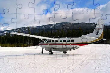  jigsaw puzzle