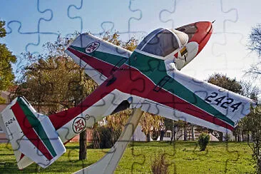  jigsaw puzzle