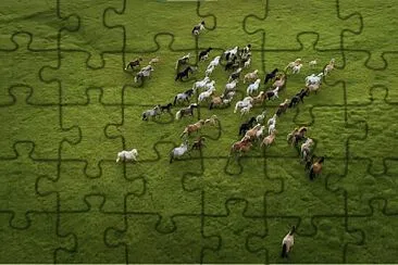 Libertad jigsaw puzzle